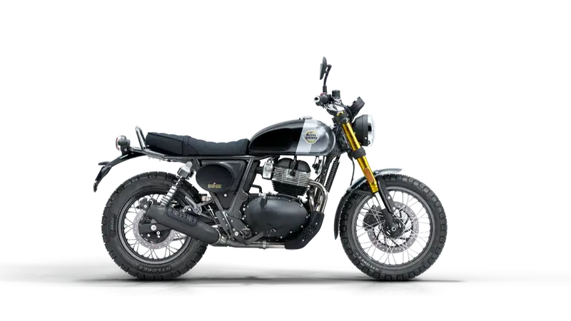 Bear 650_RHS_Profile_GoldenShadow