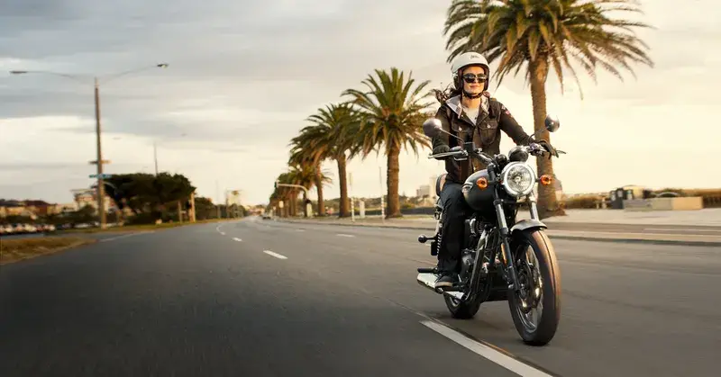 Meteor_MattBlack_F34_PalmTrees (1)